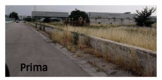 Portico, l’area pip ripulita dai rifiuti