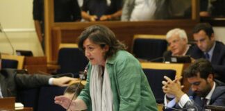 Incendi, Raia (Pd): “Non ci sottraiamo alle responsabilità”