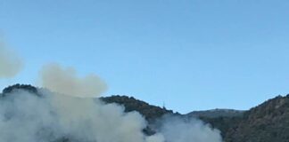 Piedimonte Matese: incendio in montagna, chiusa strada. Caos viabilità
