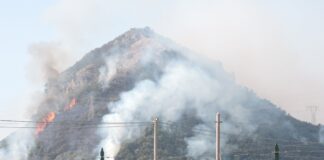 Incendi, forestali denunciano piromane nel salernitano