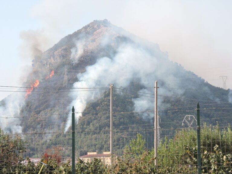 Incendi, forestali denunciano piromane nel salernitano