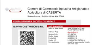 Orta di Atella, affare da 700mila euro fatto a Succivo da una società della moglie di Brancaccio e del fratello dell’ex sindaco Mozzillo. E i paladini della legalità fanno ridere i polli