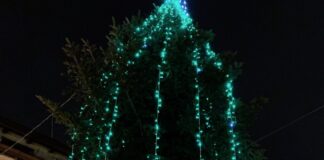 GUARDA LE FOTO Natale tra silos umani, alberi-profilattico e Peppa Pig: Gricignano, Sant’Arpino e Orta di Atella sul podio al Campionato Mondiale delle Stranezze