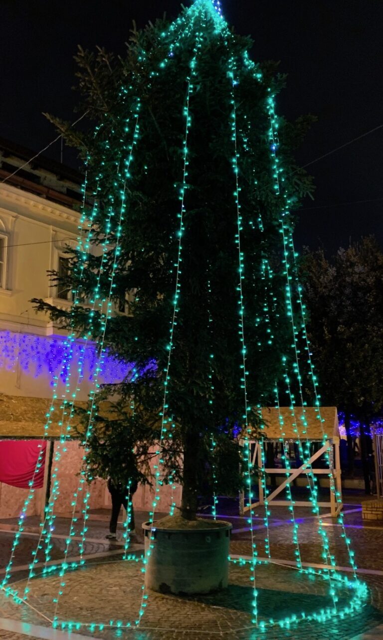 GUARDA LE FOTO Natale tra silos umani, alberi-profilattico e Peppa Pig: Gricignano, Sant’Arpino e Orta di Atella sul podio al Campionato Mondiale delle Stranezze