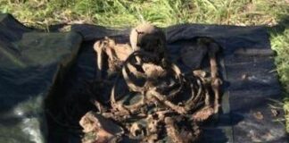 Shock in Campania, la foto del cadavere di un uomo ucciso 8 anni fa in faida di camorra: macabra scoperta dopo confessione dei killer