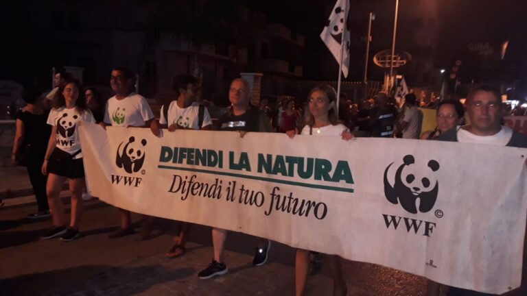 VIDEO E FOTO Lungo corteo alla fiaccolata contro i roghi tossici nell’Agro aversano: ora tocca alle istituzioni. Basta chiacchiere
