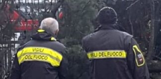 Scampata la tragedia a Caserta, cade un albero di 18 metri nella villetta di via Gemito: intervengono i vigili del fuoco