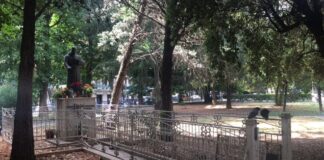 Caserta, cittadini in difesa degli alberi di Villetta Padre Pio: venerdì 27 dicembre sit-in di protesta