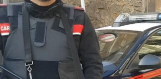 Contrasto ai reati ambientali, numerosi blitz dei carabinieri nel Napoletano: un arresto, 11 denunce e 8 sequestri