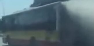 Attimi di paura sulla Statale tra Santa Maria Capua Vetere e Capua, principio d’incendio sul bus: l’autista doma le fiamme con l’estintore