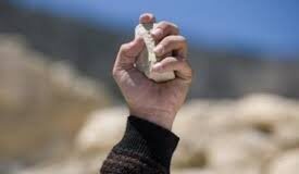 Avellino, sasso contro bus: tanta paura per i passeggeri