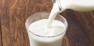 Colpo al clan dei casalesi, la longa manus della camorra sul commercio del latte: 7 arresti