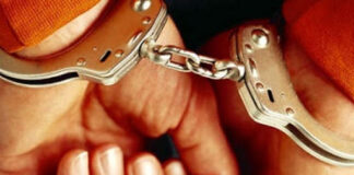 Orta, in manette i vigili Mozzillo e Aletta e la funzionaria Del Prete: false residenze. In totale 8 arresti, blitz anche a Frattaminore