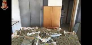 In fuga da 20 anni dopo la condanna per traffico internazionale di stupefacenti, importava marijuana dall’Albania in Italia col gommone: arrestato a Napoli latitante 49enne