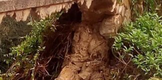 La voragine si allarga e una frazione di Sicignano degli Alburni rischia l’isolamento per l’immobilismo della Provincia di Salerno