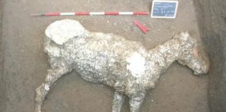 Inchiesta sui ladri di reperti archeologici a Pompei, frane causate dai furti: distrutti i calchi dei cavalli