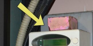 Acerra, panificio ‘ruba’ quasi 66mila euro di energia elettrica con il trucco del magnete sul contatore: titolare 49enne arrestato