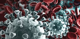 Scuole chiuse nel Sannio, precauzione per contagio coronavirus: soggetti rientrati dal Nord