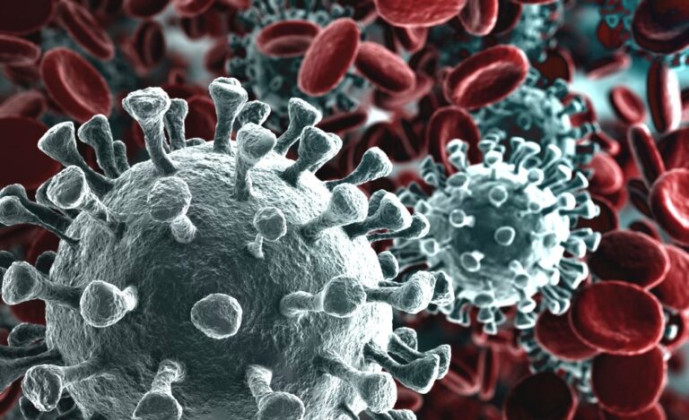 Coronavirus a Napoli, altri 2 casi positivi nel capoluogo partenopeo: sale a 975 il bilancio dei contagi. Nessun nuovo decesso nelle ultime 24 ore. Stabili a 443 i guariti