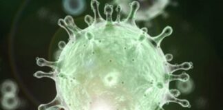 Coronavirus, continua ad essere preoccupante la diffusione del Covid-19 in provincia di Avellino: salgono a 99 i casi accertati. E c’è un altro decesso: una 80enne di Villanova del Battista