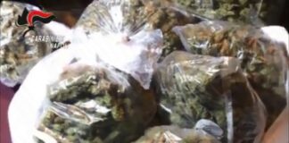 Napoli Est, scoperta nel “Bronx” una serra per coltivare marijuana