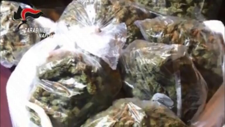 Controllo del territorio nell’area Vesuviana: sequestrati 21 chili di marijuana nascosti nei pressi della Circum di Boscotrecase