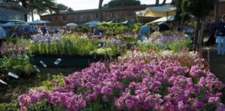 Le mani della camorra sul ‘Mercato dei fiori’ dell’area Vesuviana: sequestrata società di intermediazione del clan Cesarano