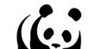 Scarsa qualità dell’aria ad Aversa, il Wwf Caserta: le domeniche ecologiche non bastano, occorre fare di più