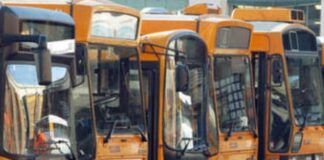 Il bonus trasporti da 60 euro torna a novembre con altri 35 milioni, Calderone: “Aiuto concreto a lavoratori e studenti”