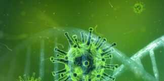 BOLLETTINO CORONAVIRUS IN ITALIA Morti al minimo dall’8 marzo: 153 nelle ultime 24 ore, 31.763 totali. Lieve aumento dei contagi. Da inizio epidemia hanno contratto il Covid 224.760 persone