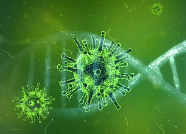 BOLLETTINO CORONAVIRUS IN CAMPANIA Tornano e diminuire i nuovi positivi, solo 9 nelle ultime 24 ore: sale a 4.639 il bilancio dei contagi. Eseguiti 3.568 tamponi