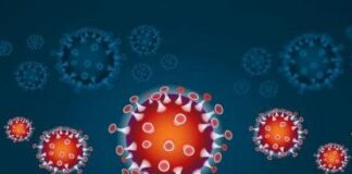 BOLLETTINO CORONAVIRUS Tornano a salire i morti: 534 nelle ultime 24 ore, 24.648 totali. Diminuiscono ancora gli attuali positivi: 528 meno di ieri. I guariti superano la soglia dei 50mila