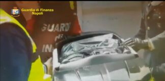 Napoli, sequestrato nel porto un container con 386 auto elettriche per bambini contraffatte provenienti dalla Cina