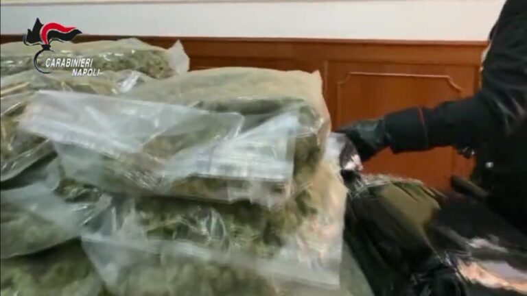 Traffico di droga, sequestrati oltre 48 chili di marijuana nell’area industriale di Caserta: il carico da 500mila euro proveniente dalla Spagna