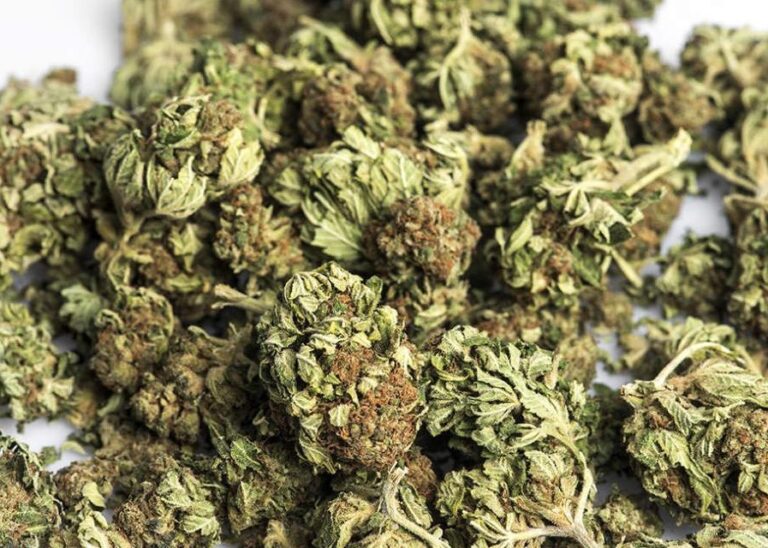 Controllo del territorio nel Napoletano, sorpreso con un chilo di marijuana in casa arrestato 26enne