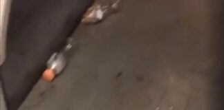 Raid vandalico contro bus dell’Anm nella notte a Napoli, bottiglie e lattine lanciate verso il conducente: “Bisogna educare i giovani alla legalità”