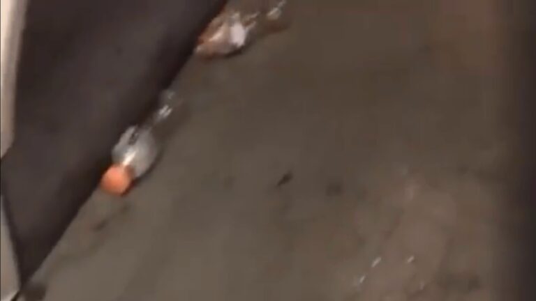 Raid vandalico contro bus dell’Anm nella notte a Napoli, bottiglie e lattine lanciate verso il conducente: “Bisogna educare i giovani alla legalità”