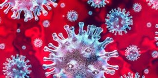 BOLLETTINO CORONAVIRUS IN ITALIA Registrato un nuovo minimo di decessi: 145 nelle ultime 24 ore, 31.908 totali. Raggiunti i 3 milioni di tamponi fatti. Da inizio epidemia hanno contratto il Covid 225.435 persone