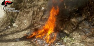 Rogo di rifiuti nel Casertano, brucia pneumatici e imballaggi in plastica nel piazzale dell’azienda: denunciato il titolare di una ditta di trasporti