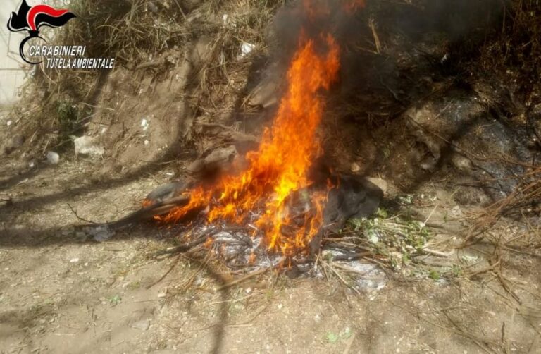Rogo di rifiuti nel Casertano, brucia pneumatici e imballaggi in plastica nel piazzale dell’azienda: denunciato il titolare di una ditta di trasporti