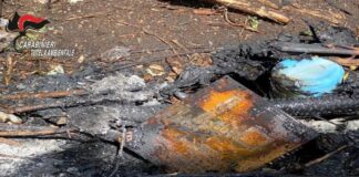 Giugliano, sei metri cubi di rifiuti speciali in auto, scatta il blitz delle forze dell’ordine