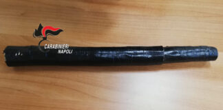 Camion dei rifiuti ostruisce il passaggio, va su tutte le furie e picchia i netturbini con un bastone: denunciato 20enne del Napoletano