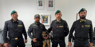 Centrale della droga nell’alto Casertano, quasi 2 chili cocaina nascosti nel bar: arrestato 32enne col ‘vizietto’ dello spaccio di stupefacenti