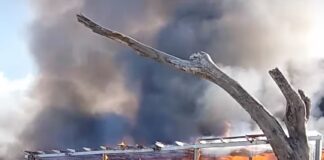 Devastante incendio a Castel Volturno, completamente distrutta la struttura balneare del Lido Verde: indagano gli inquirenti