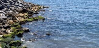 Scarichi inquinanti sul litorale flegreo: disposto un intervento urgente della Sma Campania per rimuovere le ostruzioni dalle griglie di depurazione