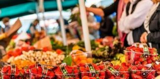 Fase 2 in Campania, riaprono i mercati per i soli generi alimentari con presìdi di volontari e polizia municipale. Ma la ripresa è ancora lenta