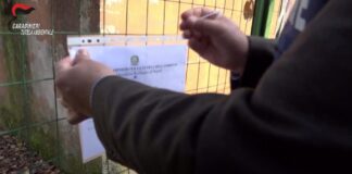 VIDEO Inquinamento ambientale, frode nelle pubbliche forniture e truffa: 33 indagati e 12 depuratori sequestrati nel Beneventano