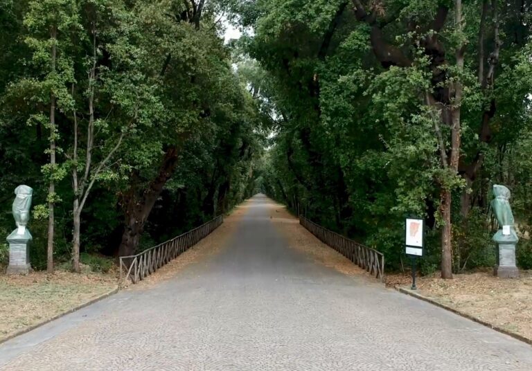 VIDEO Napoli, la meraviglia è di scena: dopo il lockdown e gli importanti lavori di restauro lunedì 18 maggio riapre il Real Bosco di Capodimonte