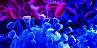 Covid: nessuna vittima e 4 positivi nelle ultime 24 ore in Campania su di un totale di 1222 tamponi