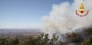 Domato incendio in zona protetta del parco del Vesuvio